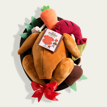 Stuffed Turkey Snuffle Dog Toy-3 in 1 Hide and Seek toy
