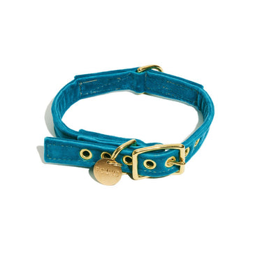 Aqua Washable Velvet Cat & Dog CollarDog CollarsFound My AnimalXS