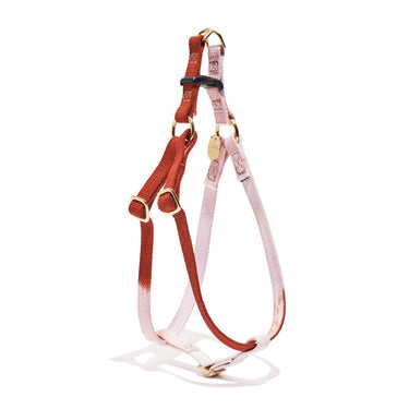 "Handmade Arizona Cotton Rope Dog & Cat Harness – Durable, Stylish, and Adjustable | Found My Animal"