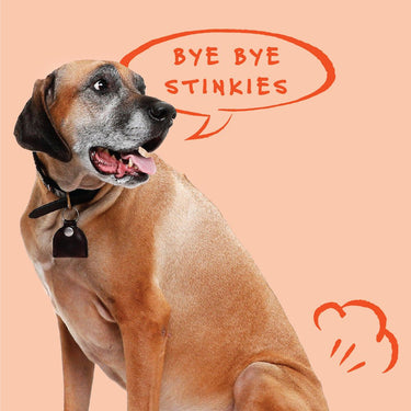 Bocce's Bye Bye Stinkies Soft & Chewy TreatsDog TreatsFound My Animal