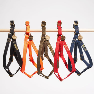 AVAILABLE IN MULTI COLOURS - Found Classic Navy Cotton Rope Dog & Cat Harness – Durable, Adjustable & Stylish | Found My Animal