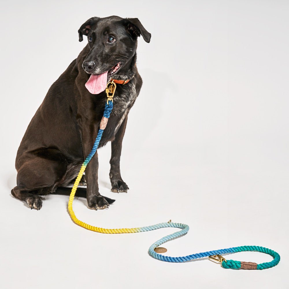 Found My Animal Azure Cotton Rope Dog Leash, AdjustableShop LeashesFound My AnimalS