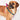 Brown dog wearing Found My Animal Bright Multi-Color Harness – Secure Fit for All Breeds