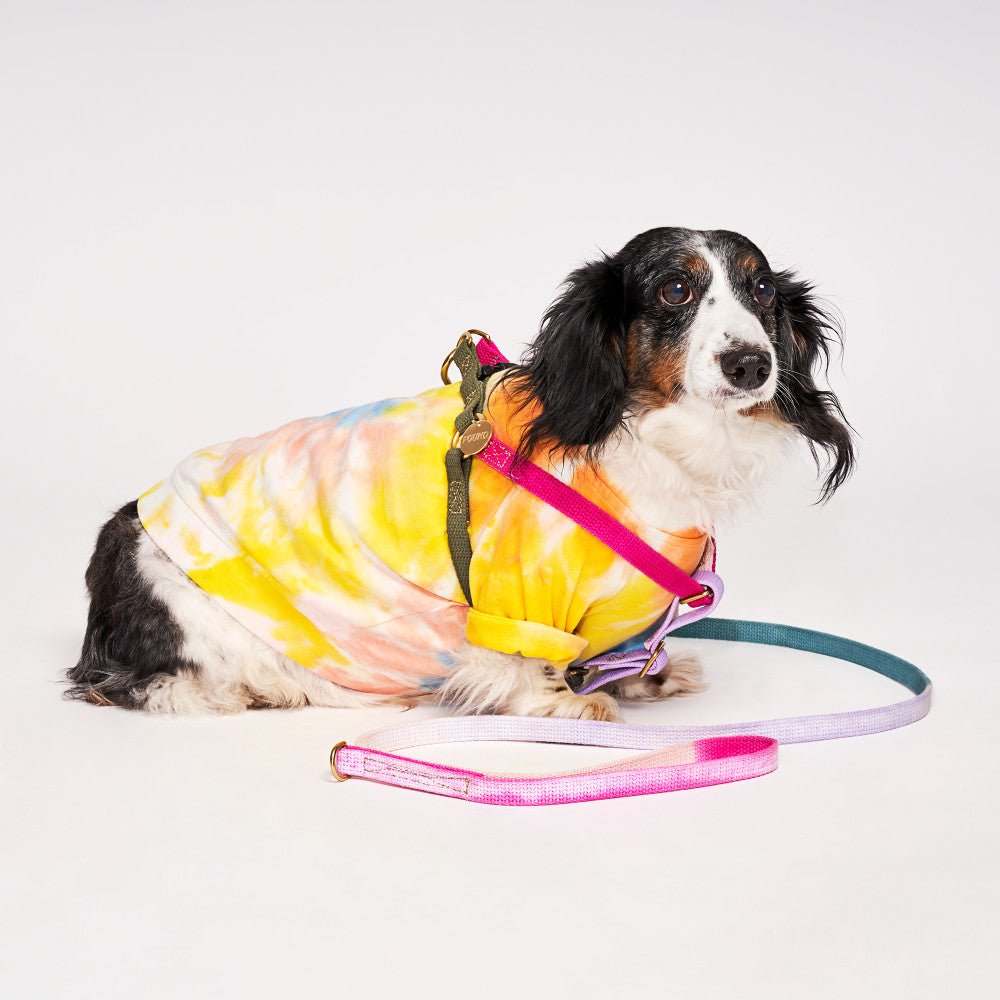 Found My Animal Jolie Webbing Dog Harness Large