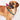 Found My Animal Jolie Webbing Dog HarnessDog & Cat HarnessesFound My AnimalXS