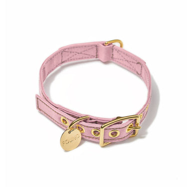 Light Pink Canvas Cat & Dog CollarDog CollarsFound My AnimalXS