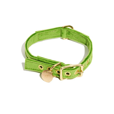 Lime Washable Velvet Cat & Dog CollarDog CollarsFound My AnimalXS