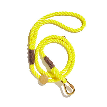 Neon Yellow Leash, StandardStandard 5ft LeadsFound My AnimalS