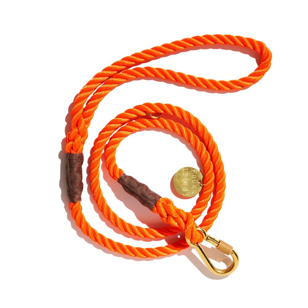 Orange Rescue Dog Leash, StandardStandard 5ft LeadsFound My AnimalS
