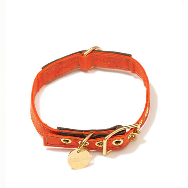 Orange Waxed Cotton Canvas Cat & Dog CollarDog CollarsFound My AnimalXS