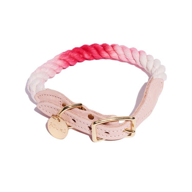 Scarlet Ombre Cotton Rope Cat & Dog CollarDog CollarsFound My AnimalXS