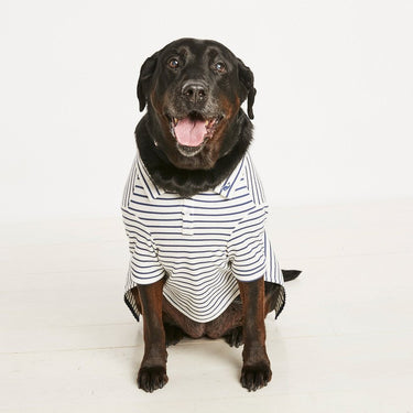 Vineyard vines dog bed cheap