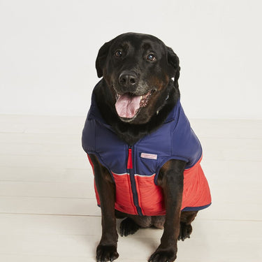Vineyard Vines X Fma Pet Puffer Jacket Lighthouse Red Found My Animal