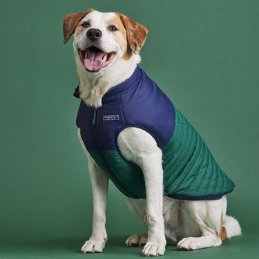 Vineyard Vines X Fma Pet Puffer Jacket, Turf GreenVineyard Vines CollectionFound My AnimalXS