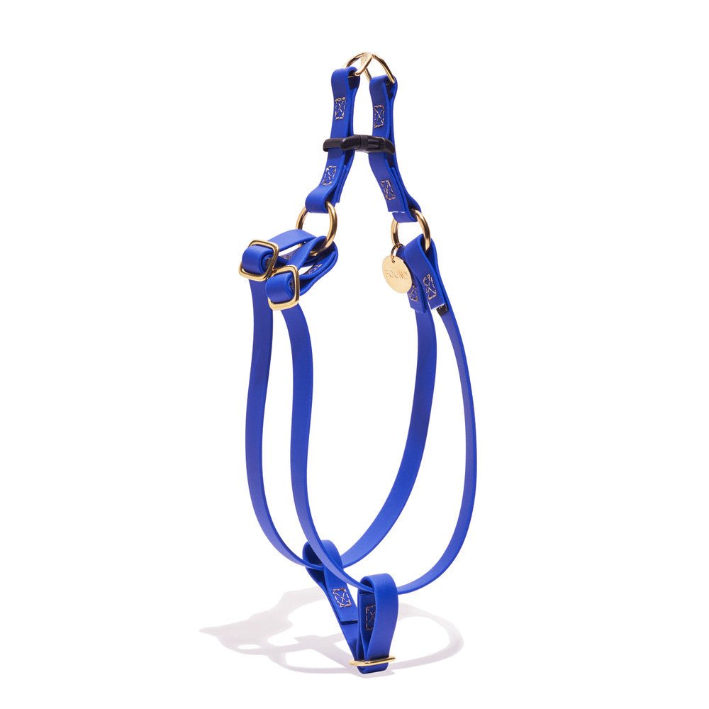 Water Resistant Cat & Dog Harness, Bright BlueDog & Cat HarnessesFound My AnimalXS