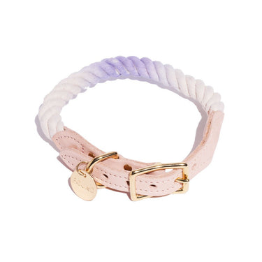 Wisteria Ombre Cotton Rope Cat & Dog CollarDog CollarsFound My AnimalXS